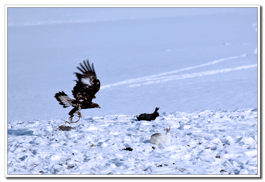 2015-01-30й&#8226;ӹĻν