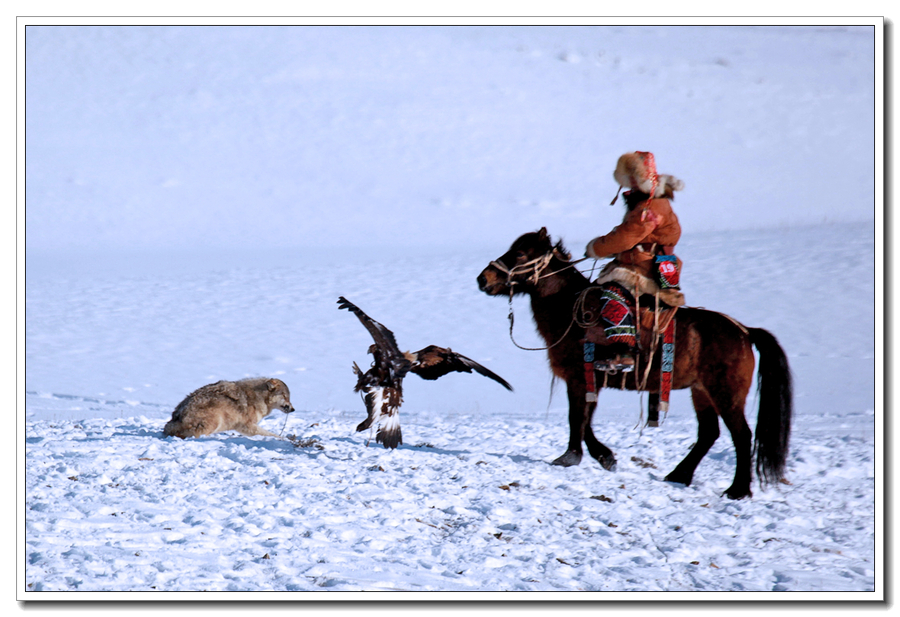 2015-01-30й&#8226;ӹĻν