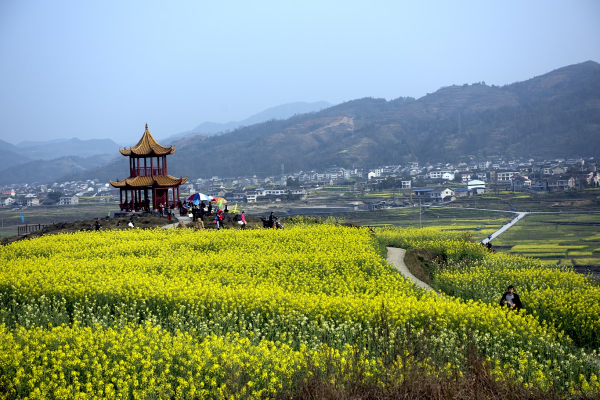 【龍鳳花海攝影圖片】重慶秀山清溪場鎮風光攝影_攝行天涯--老梅攝影