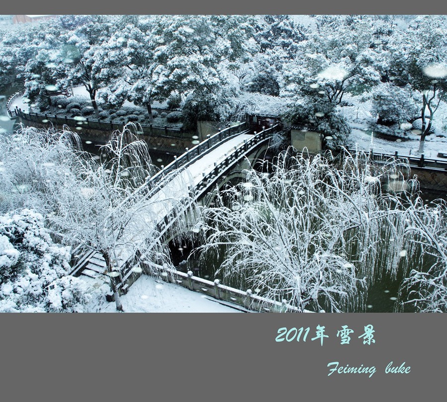 2011Ϻ´ѩ