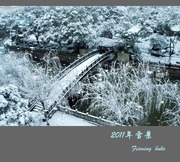 2011年上海下大雪