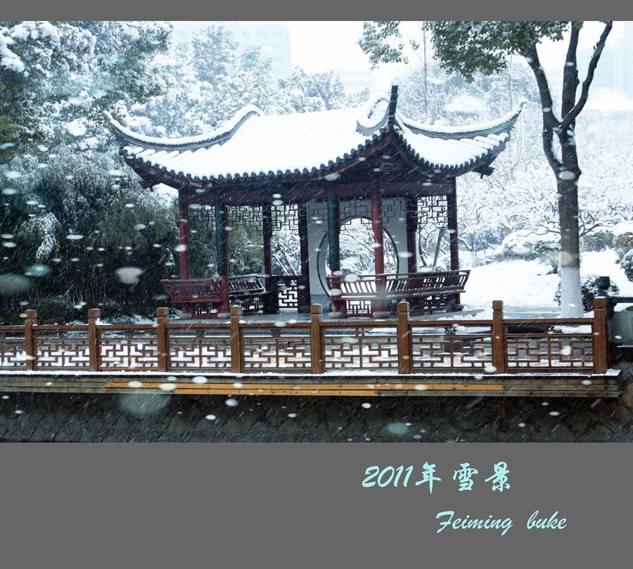 2011Ϻ´ѩ
