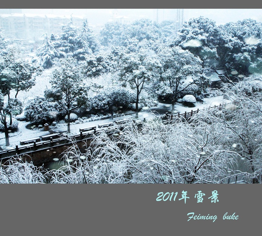 2011Ϻ´ѩ