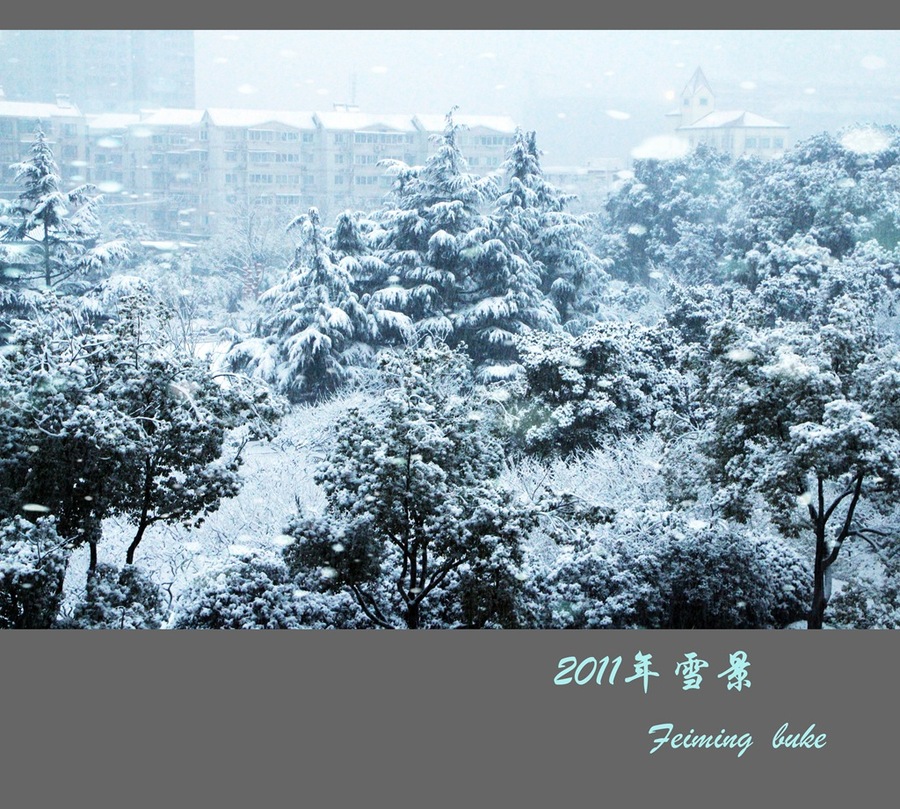 2011Ϻ´ѩ
