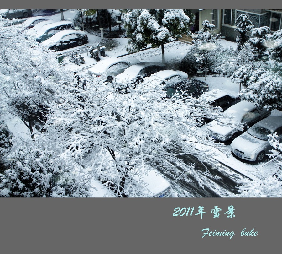 2011Ϻ´ѩ
