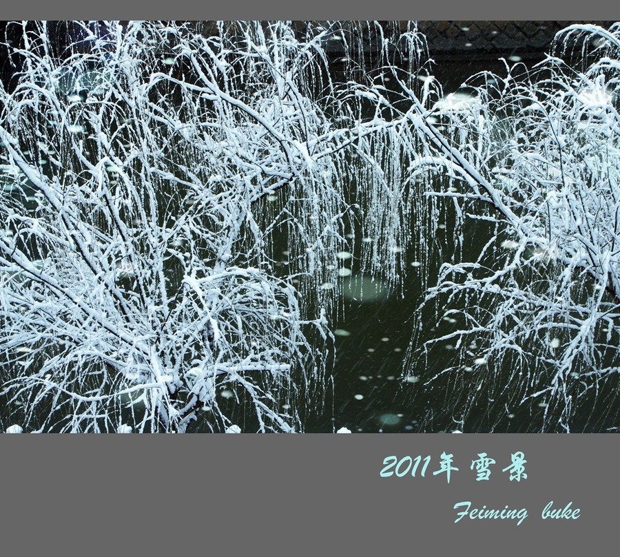 2011Ϻ´ѩ