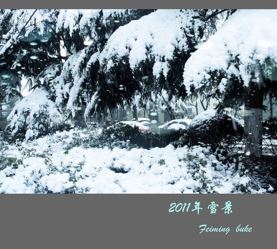 2011Ϻ´ѩ