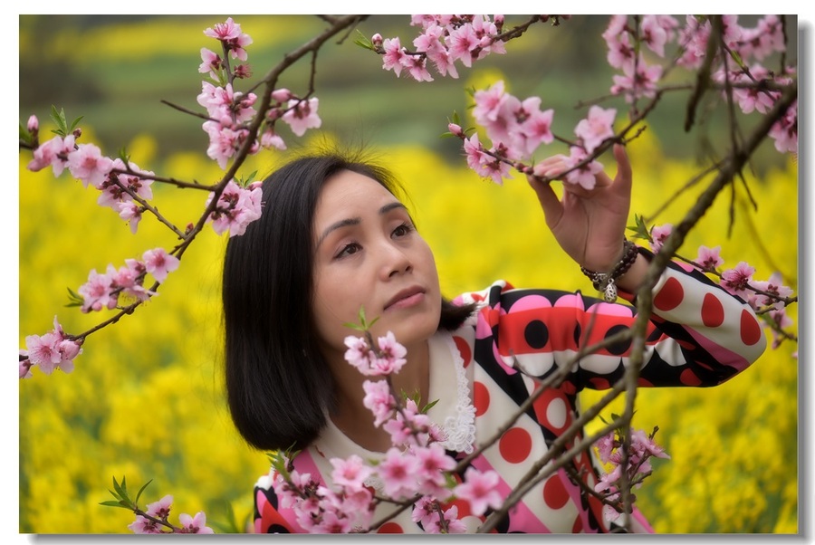 人面桃花