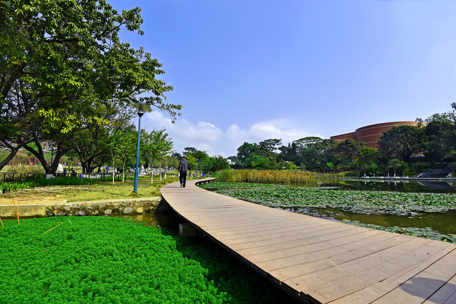 校園隨拍,練習新鏡 【風景】