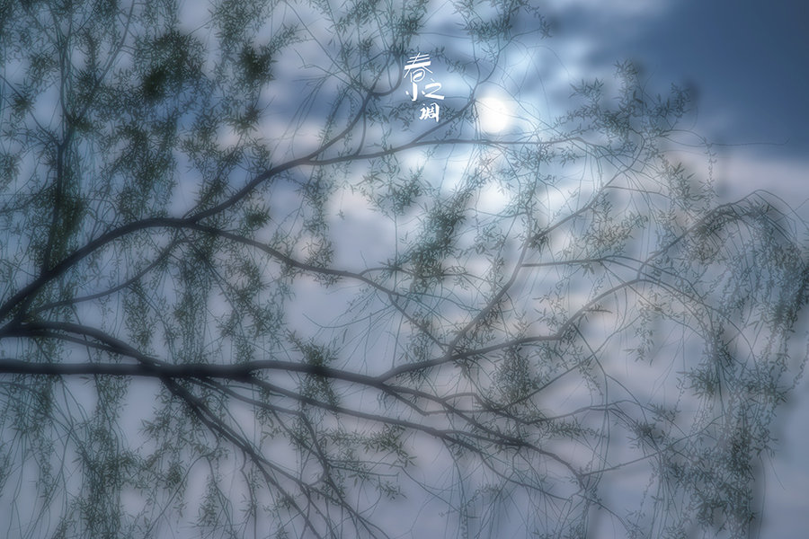 ֮С