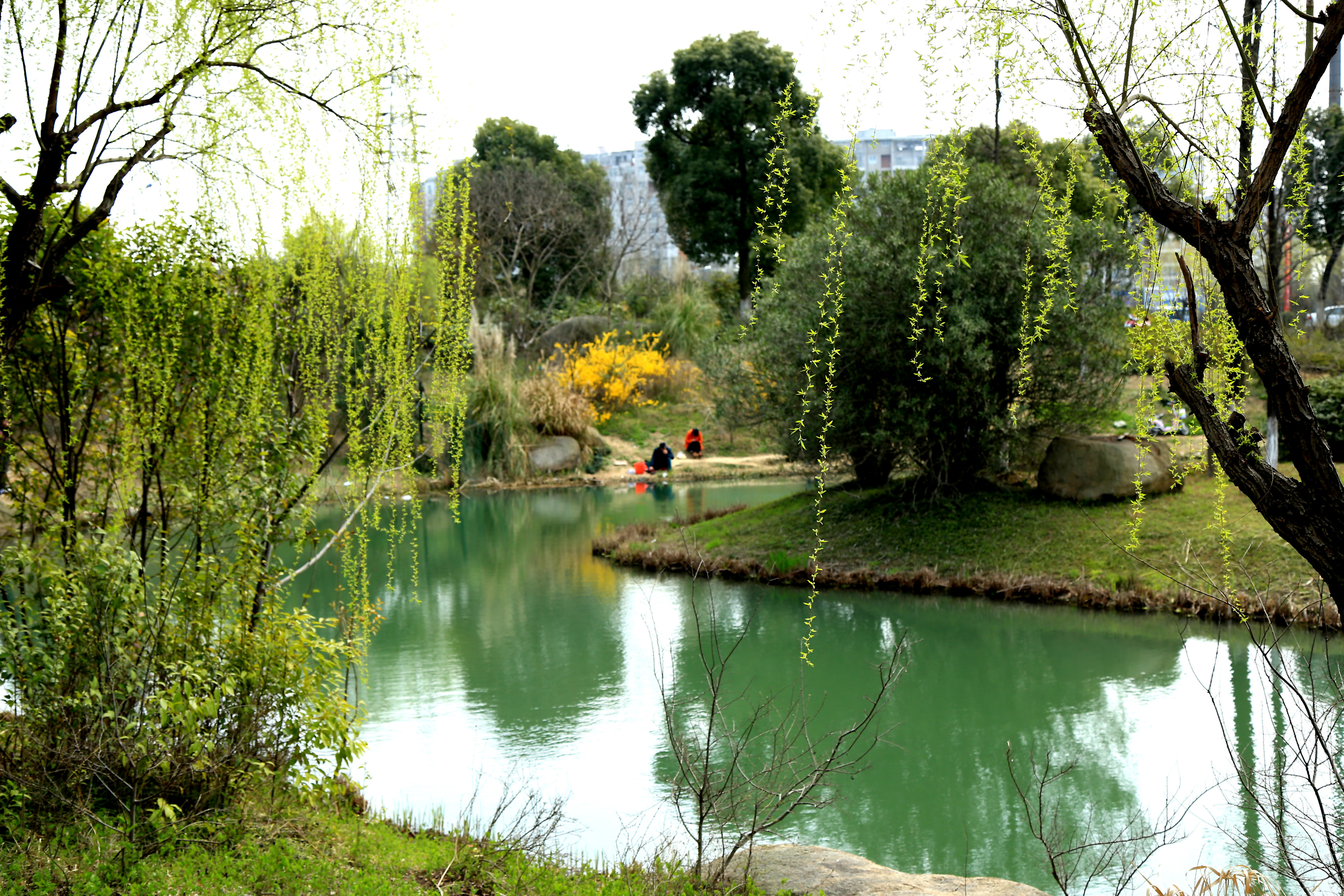 家乡美景