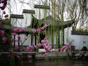 紫竹院之春