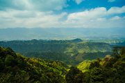 蒙顶山风光