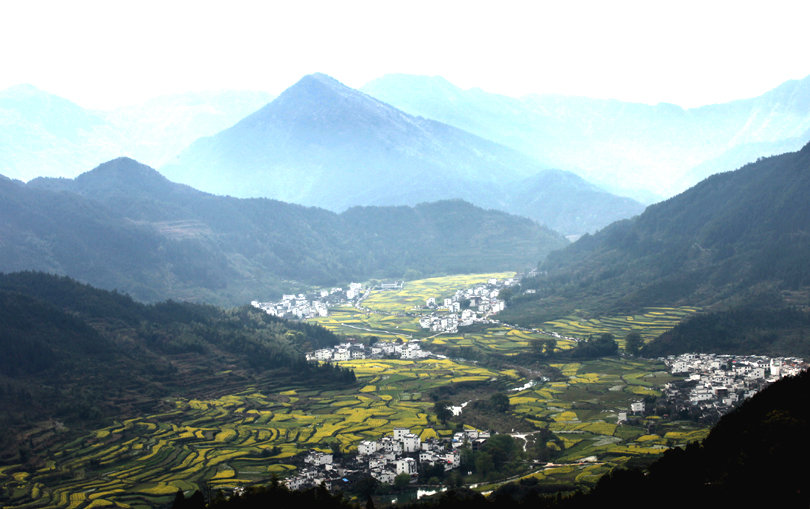 【婺源江岭、篁岭油菜花海梯田摄影图片】江西