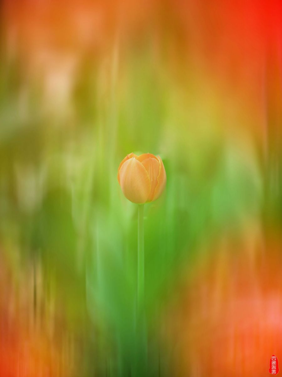 㣨1