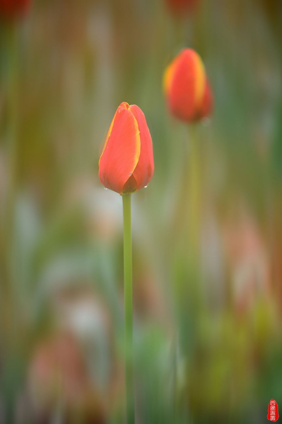 㣨1