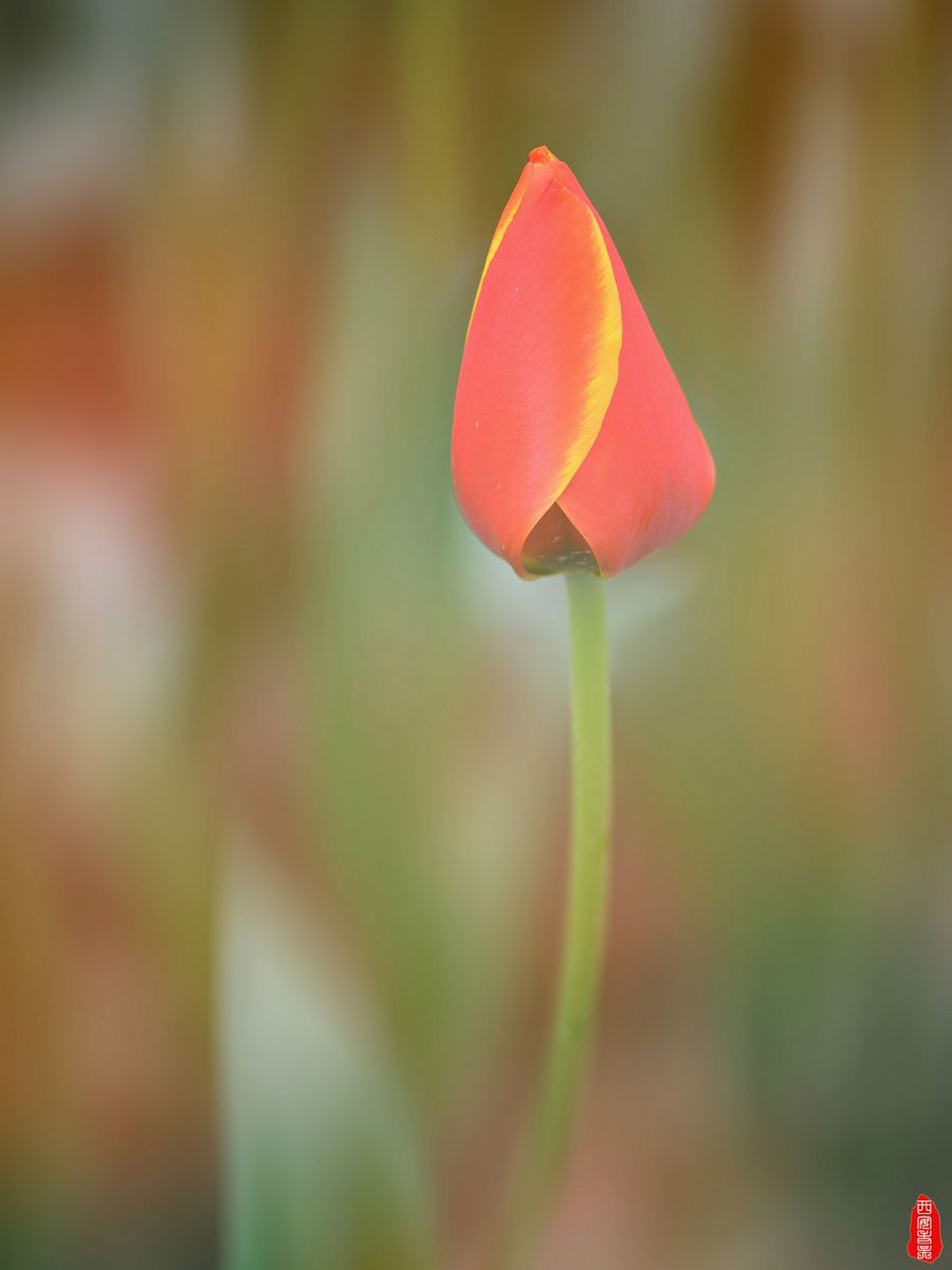 㣨1