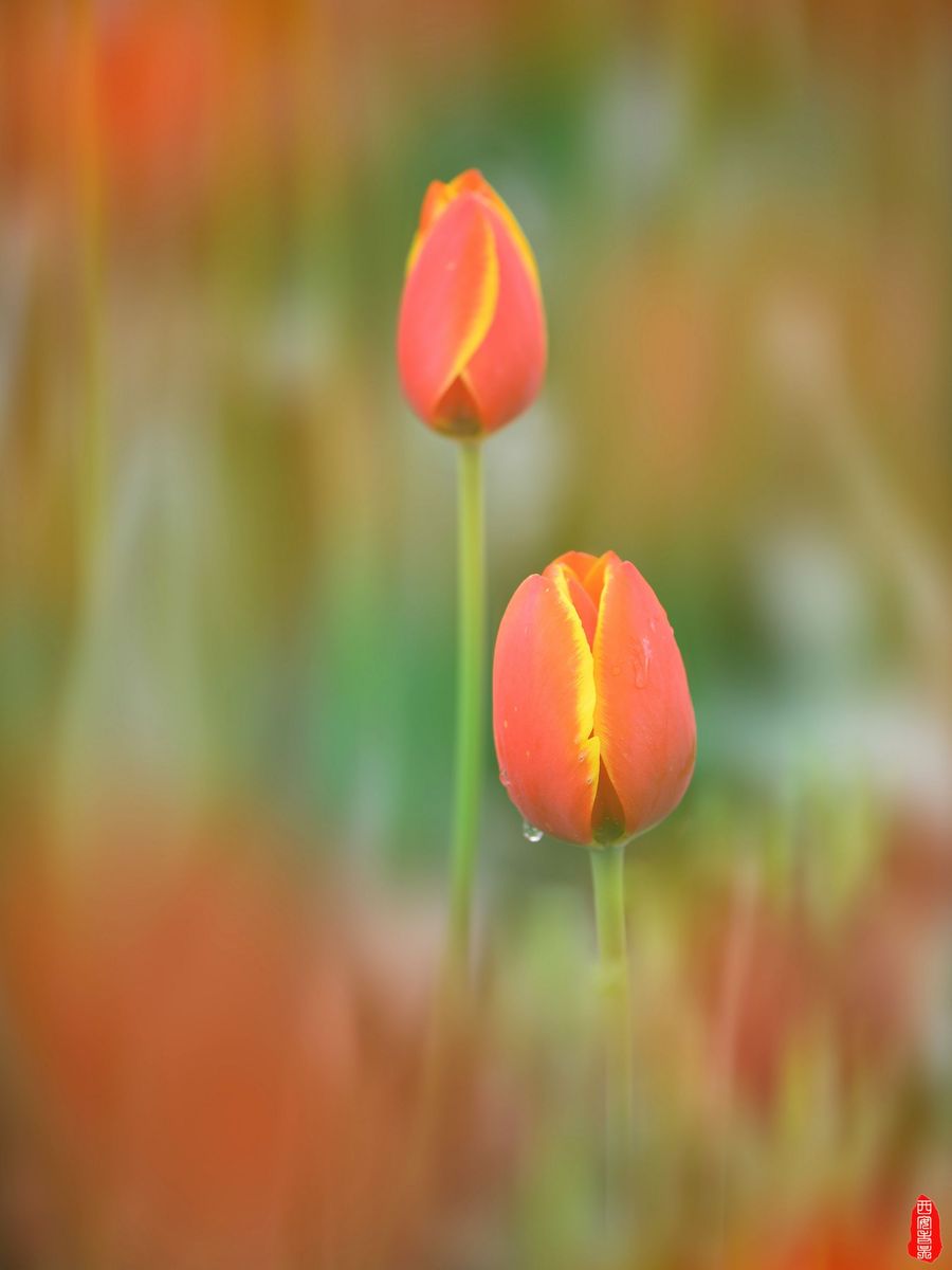 㣨1