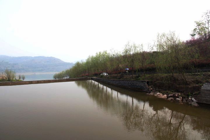 屦կ