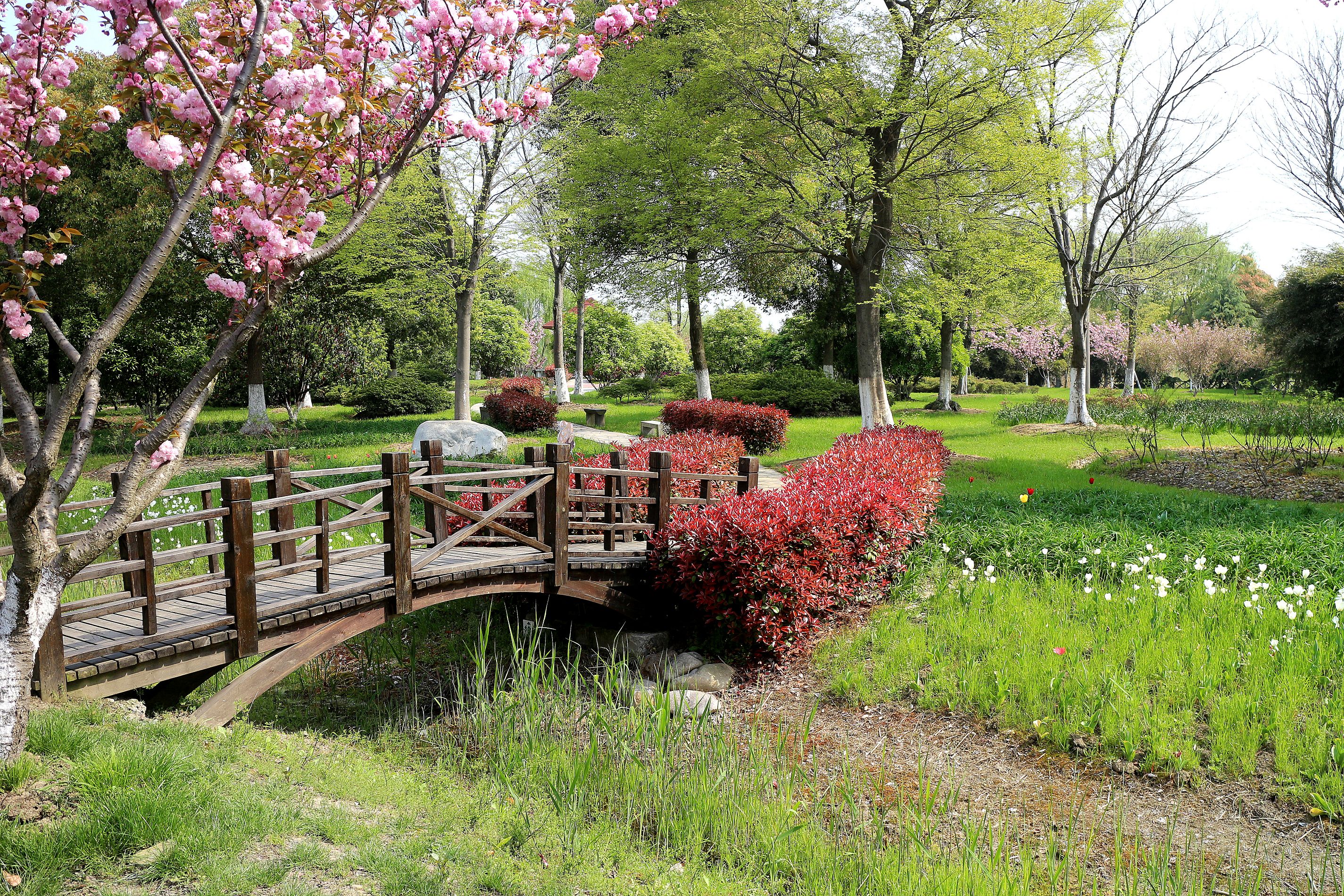 苏州花卉植物园园景