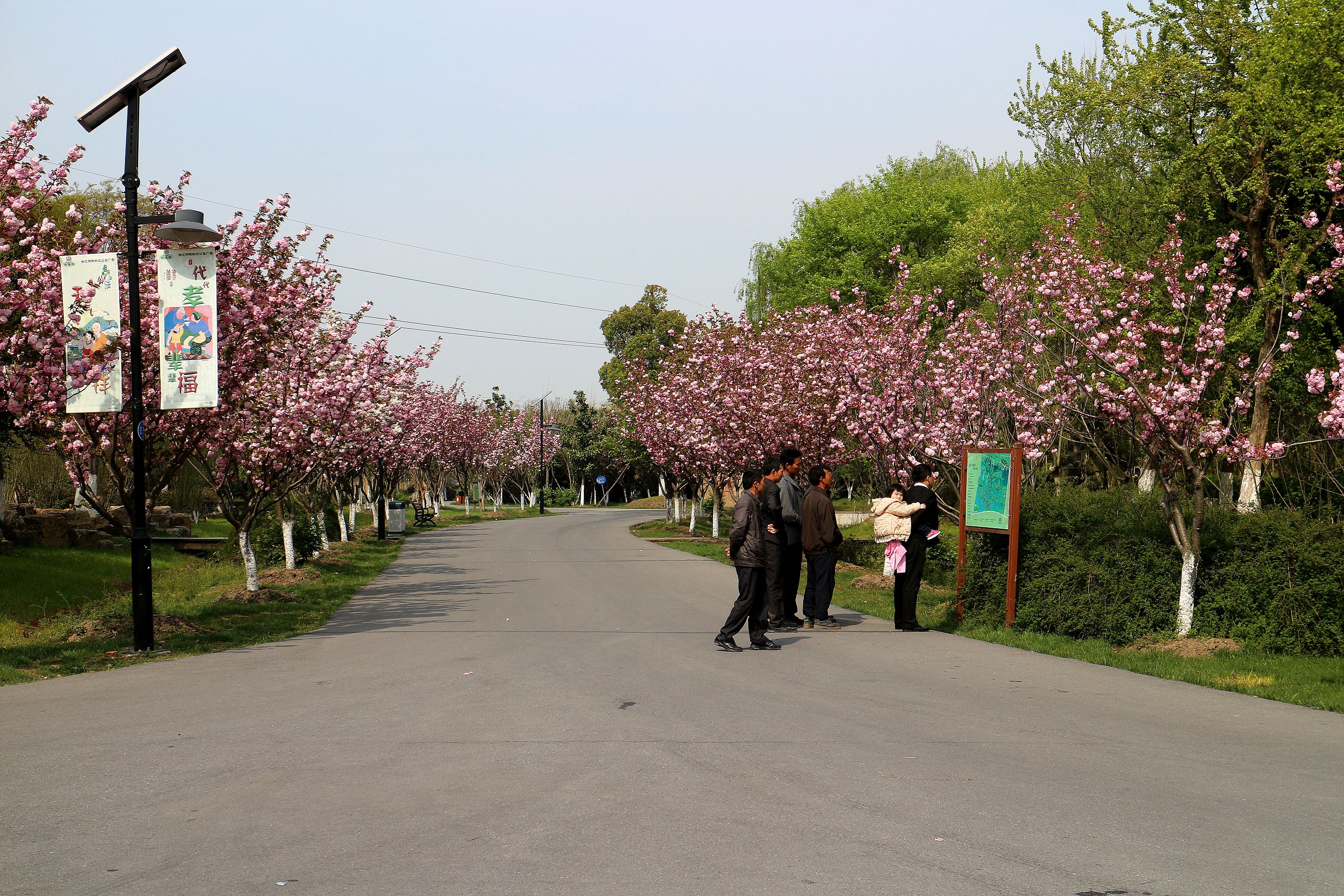 苏州相城花卉植物园图片