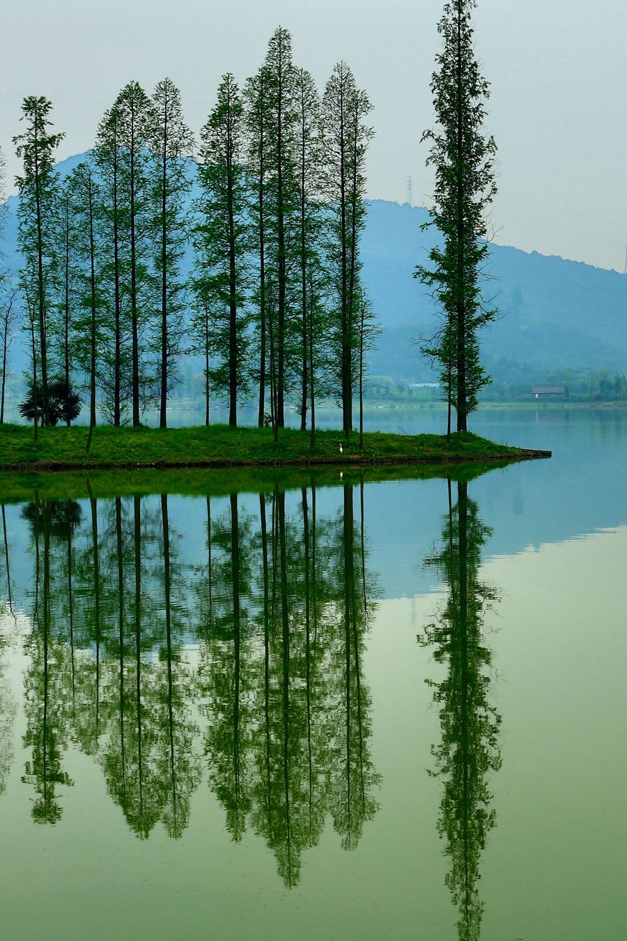 杭州最美的风景图片图片