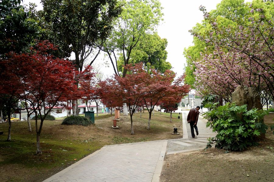 苏州百花洲小区图片