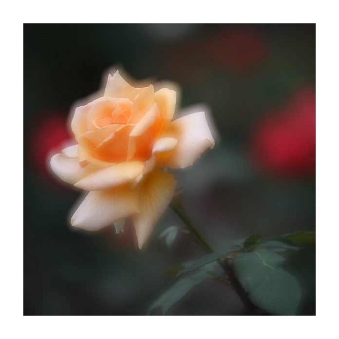 λû䣨2