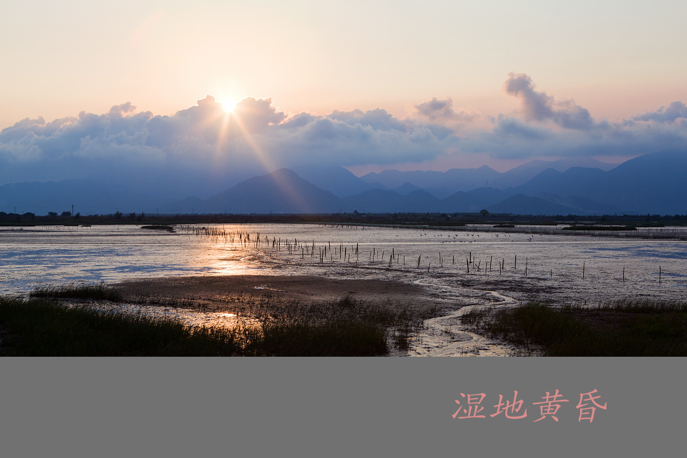 海陵岛红树林国家湿地公园位于广东省阳江市海陵岛神前湾畔
