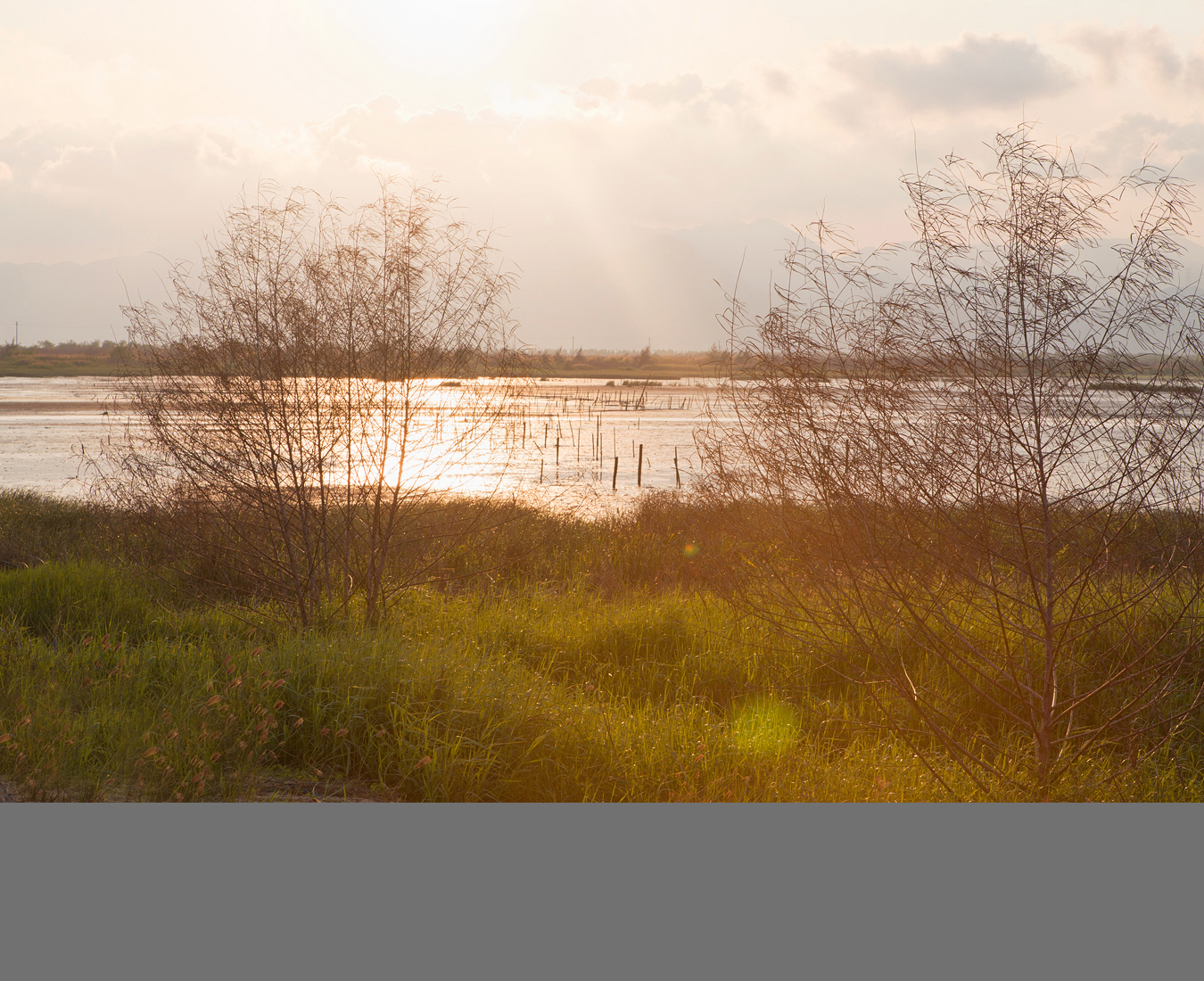 2023五缘湾湿地公园游玩攻略,【景点推荐】沿着栈道漫步湖...【去哪儿攻略】