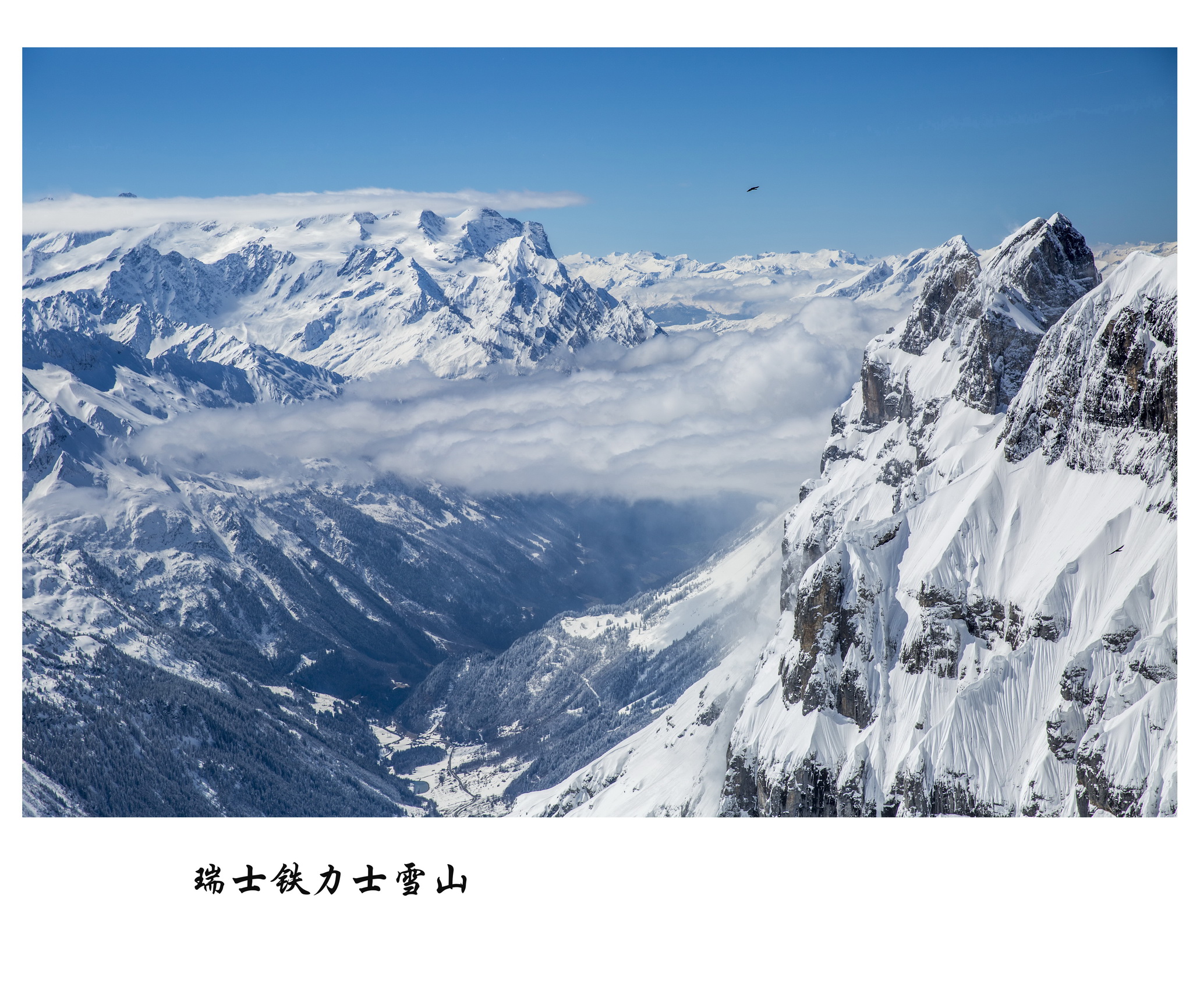 2022铁力士雪山游玩攻略,还在3020海拔的雪景餐厅🍴...【去哪儿攻略】