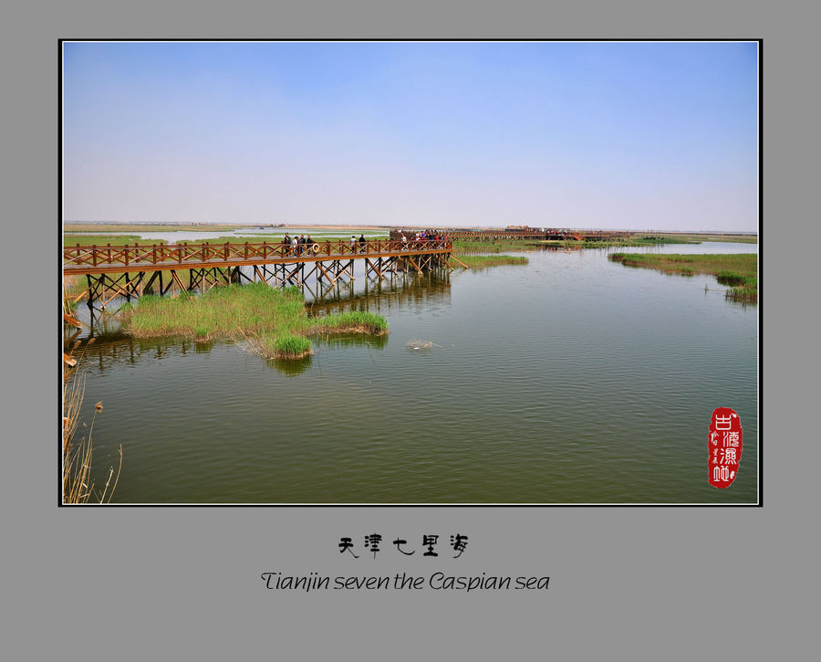古海湿地 - 天津七里海湿地公园