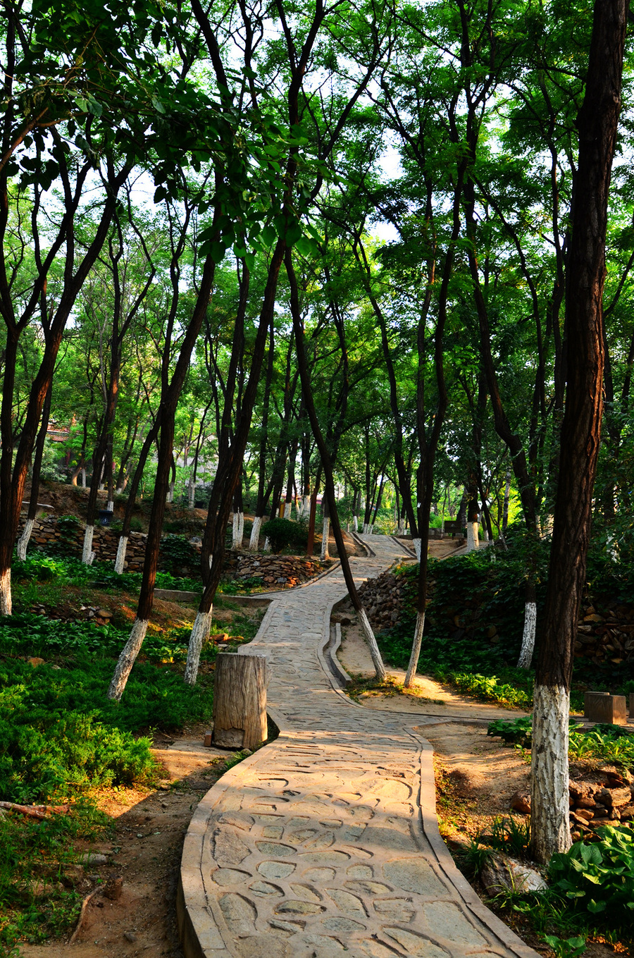 晨夏的北宮國家森林公園 (共 19 p)