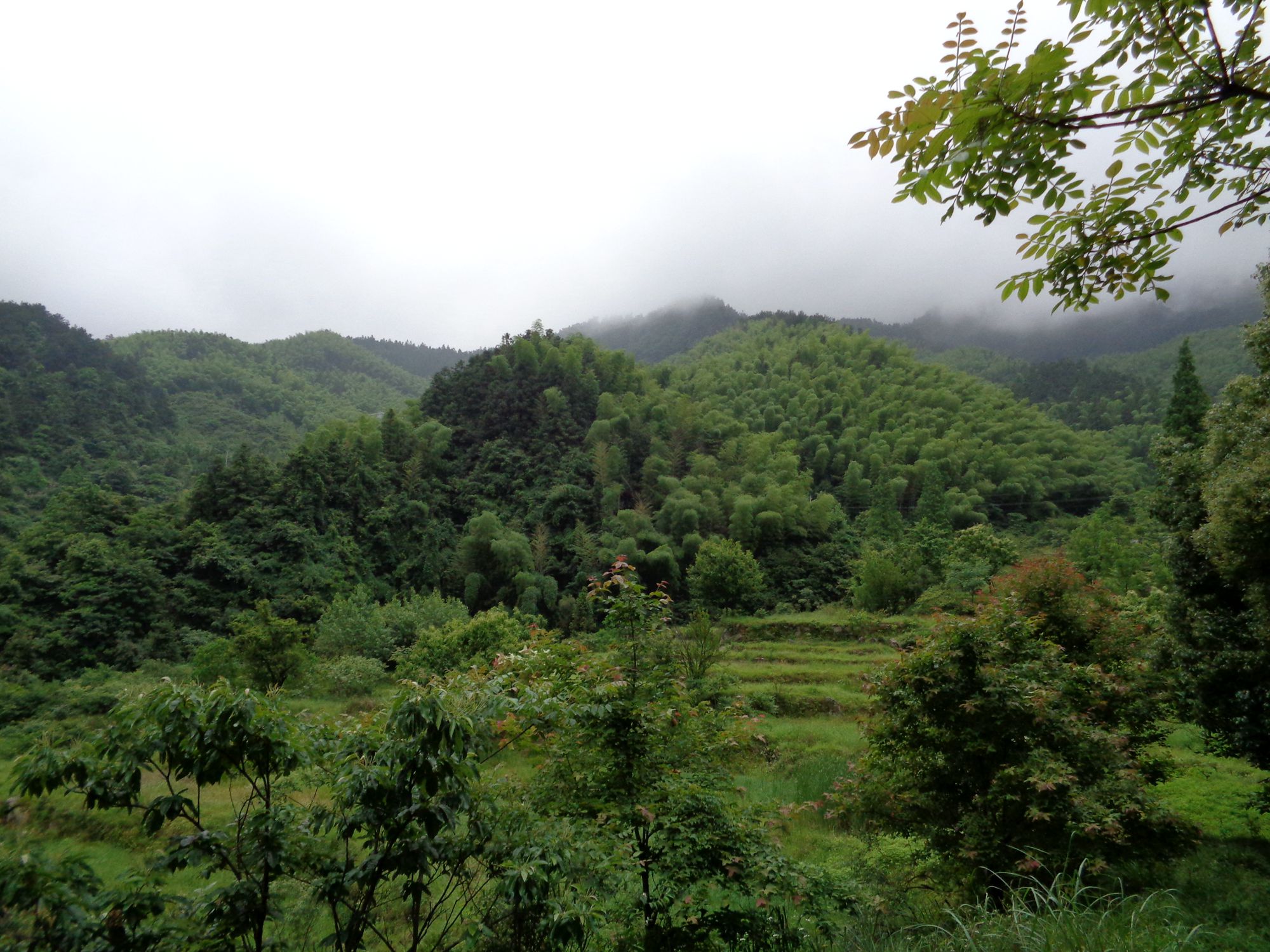 浠水靈秀山(2)