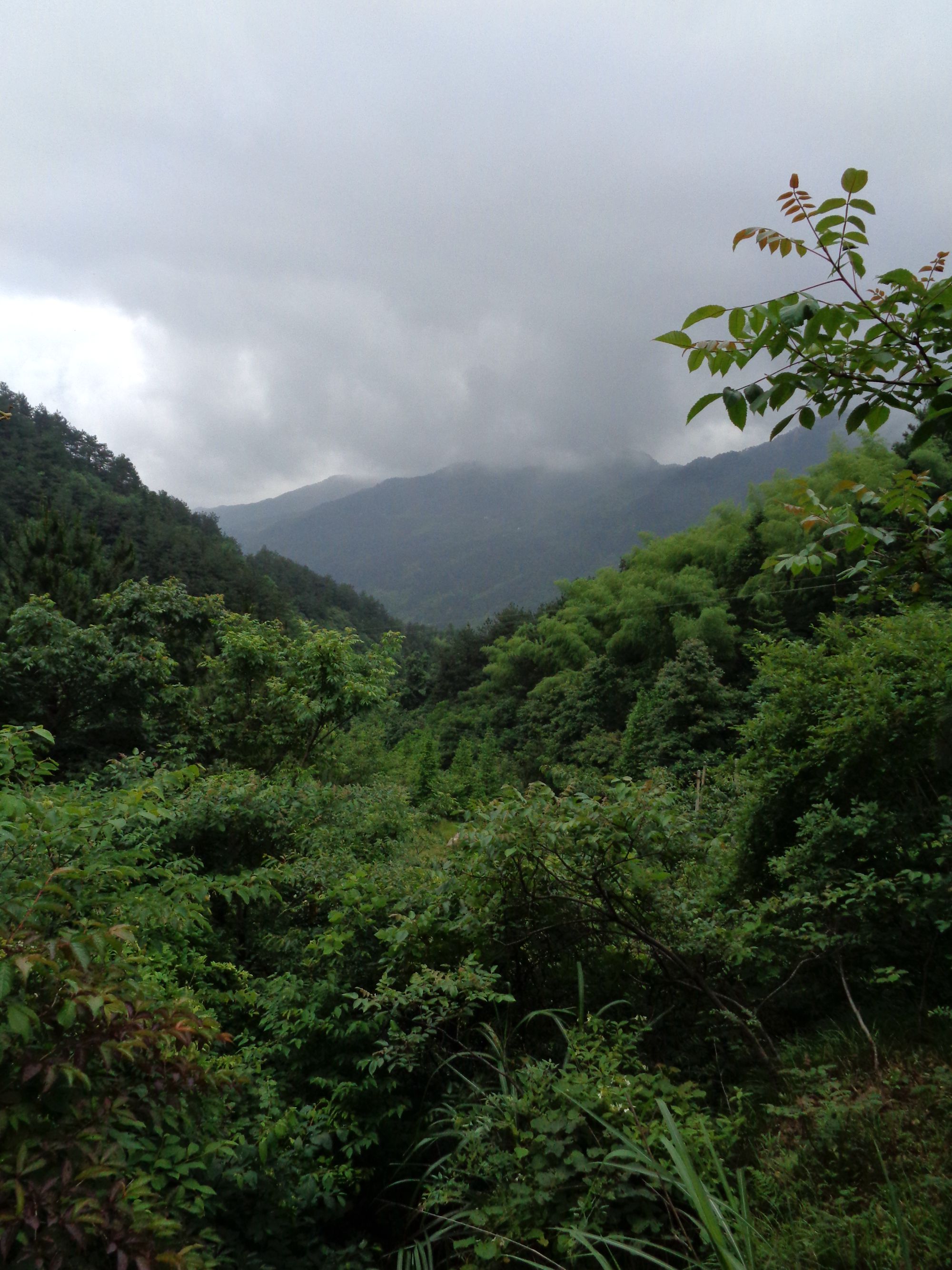 浠水靈秀山(2)