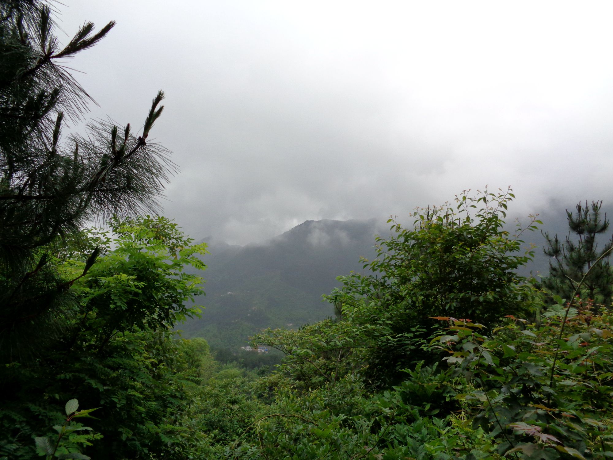 浠水靈秀山(2)