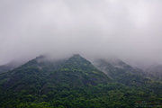 雨雾中的凤凰山