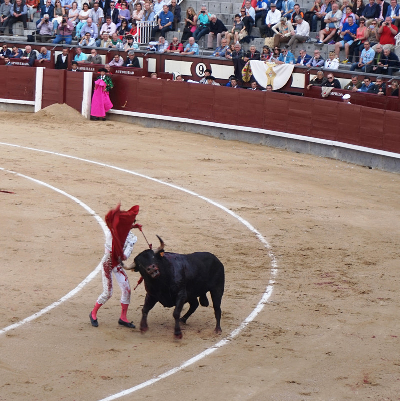 1 收藏 摄色 9 评论 手机看图集 作品简介               西班牙斗牛