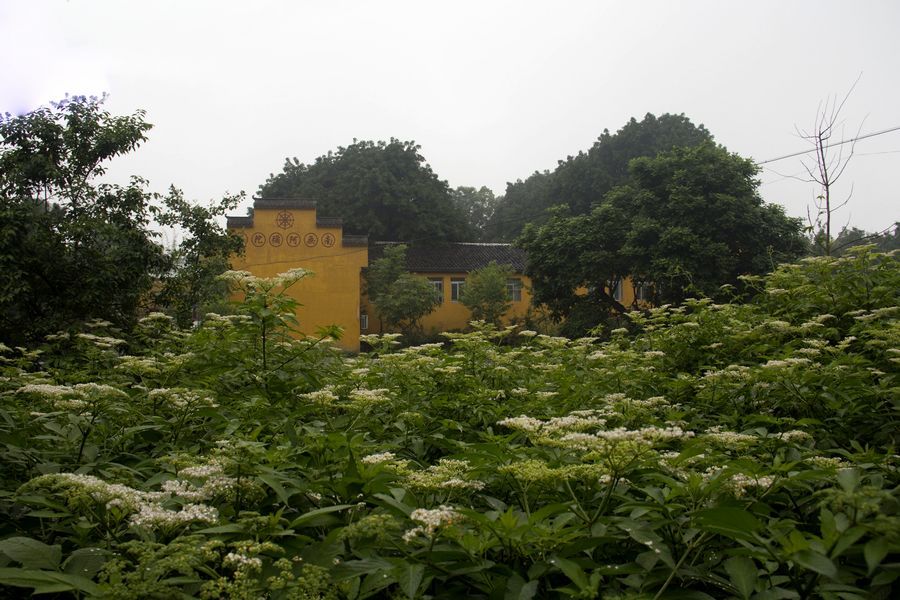 大渡口金鳌寺