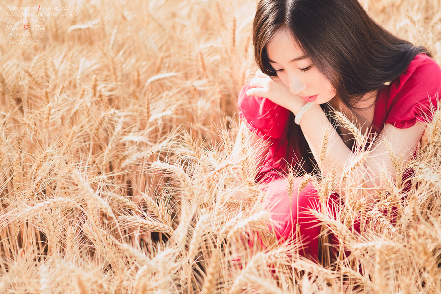 Fields of Gold