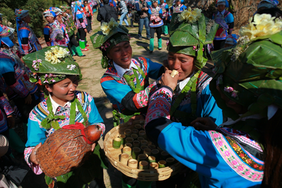 哈尼族的传统节日风俗图片