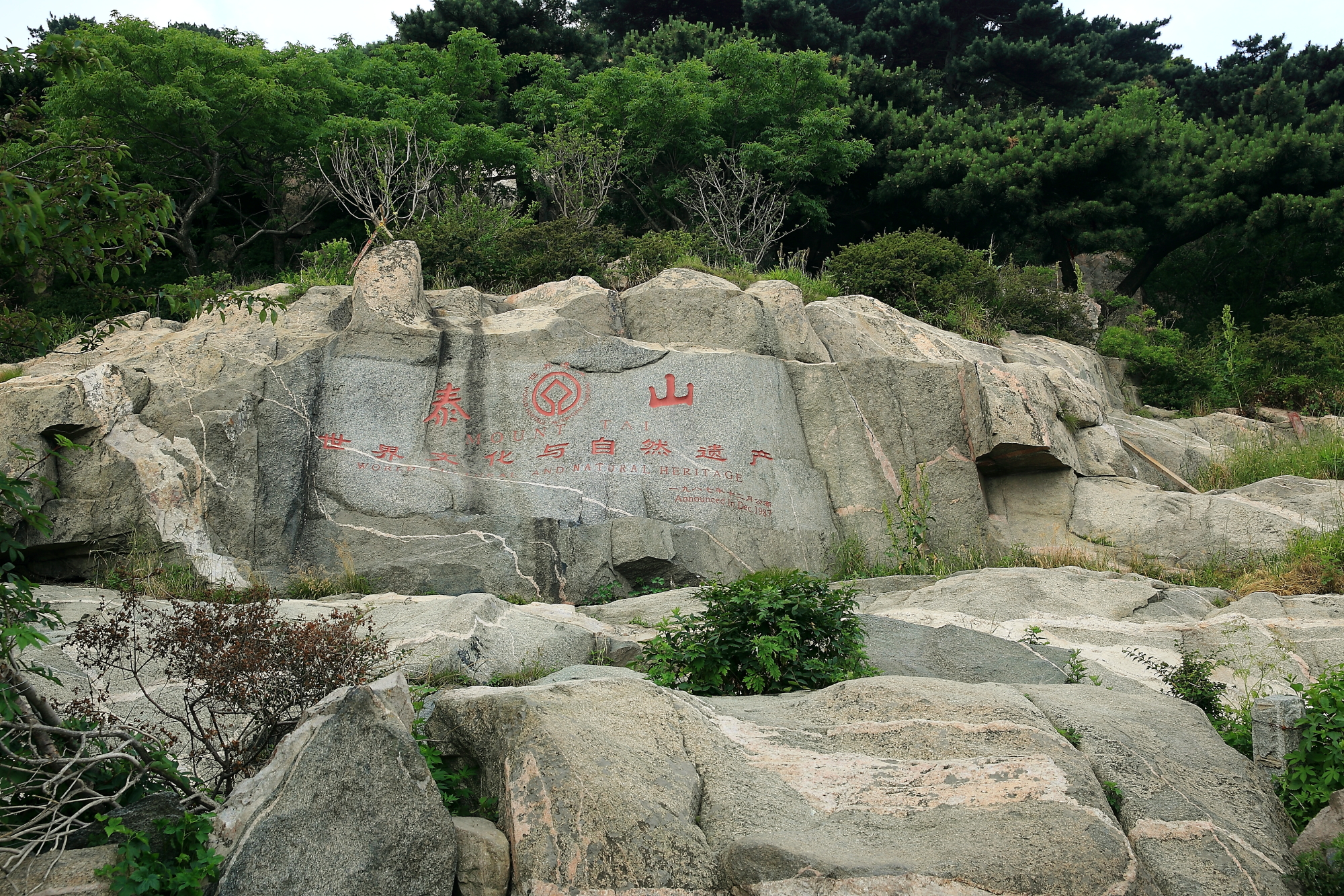 泰山照片一組