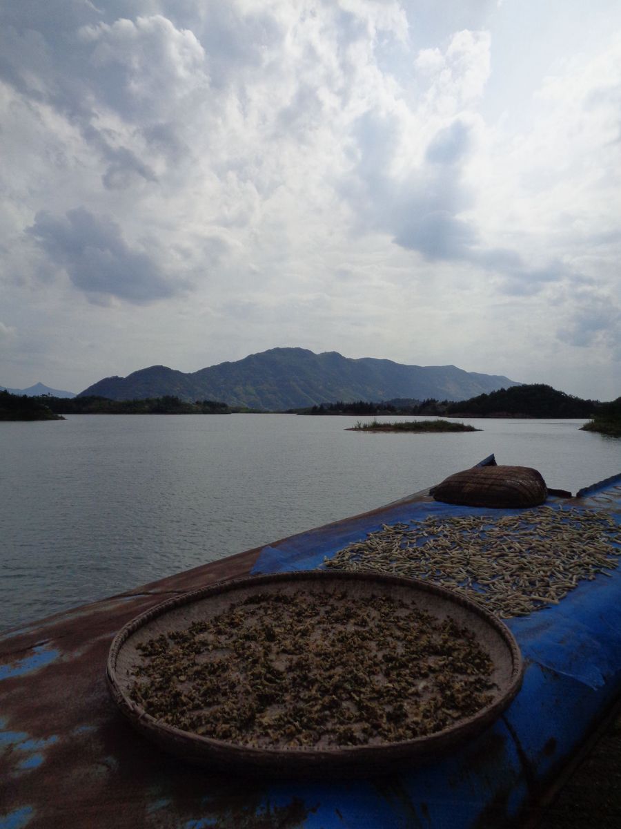 陽新仙島湖風景區