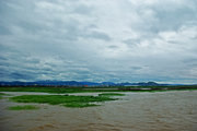 风雨飘摇