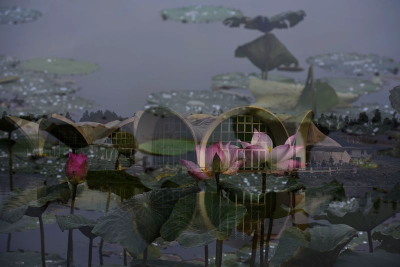 λúɻ