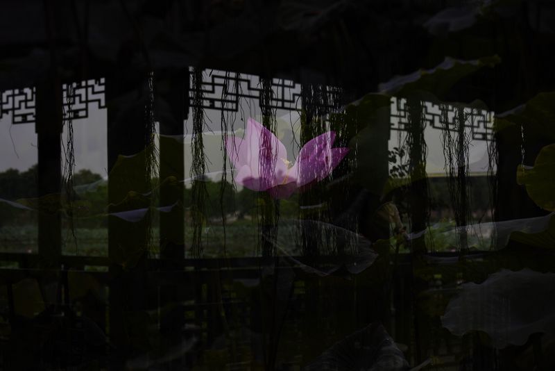 λúɻ