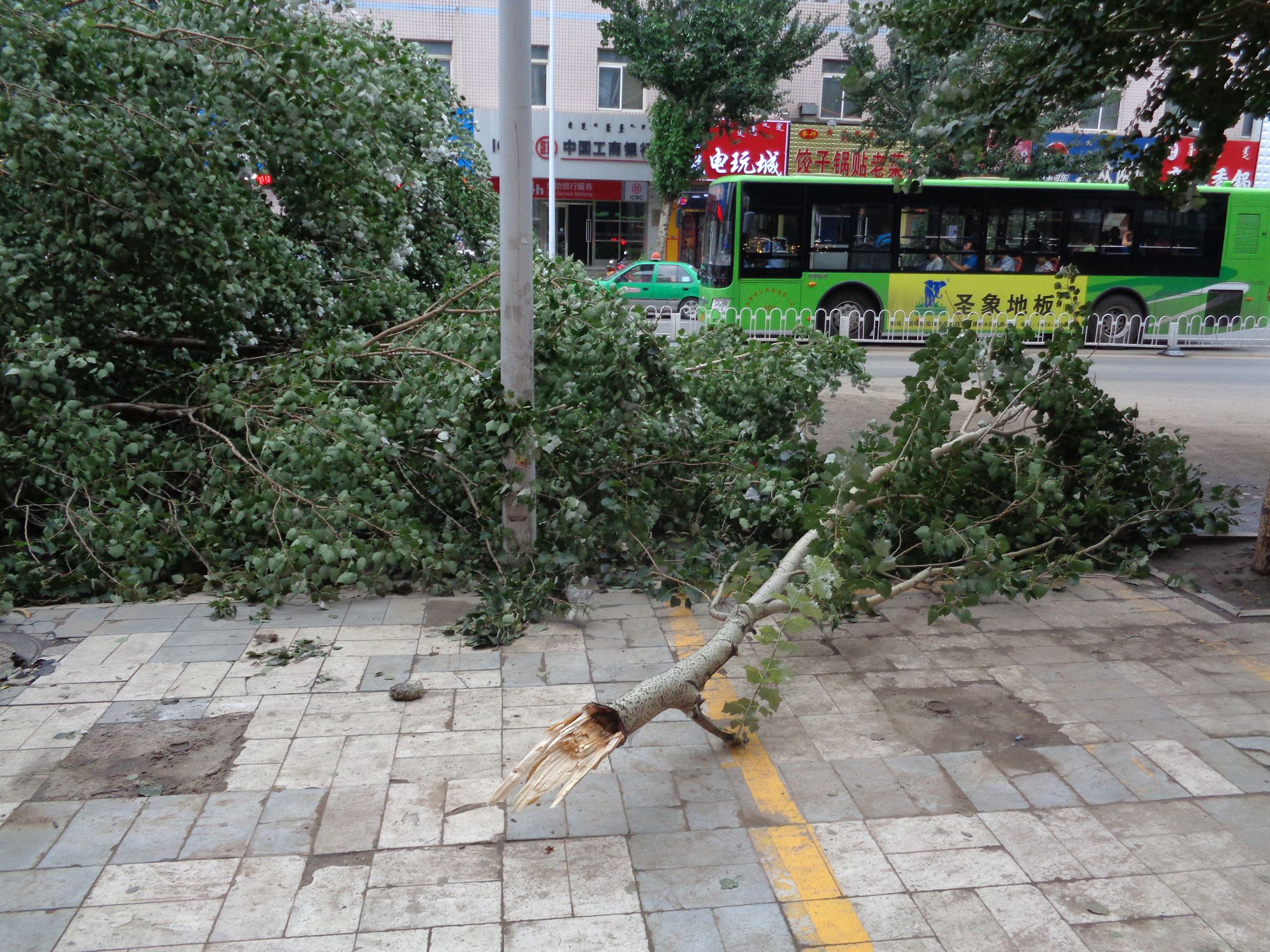 狂风暴雨的照片图片