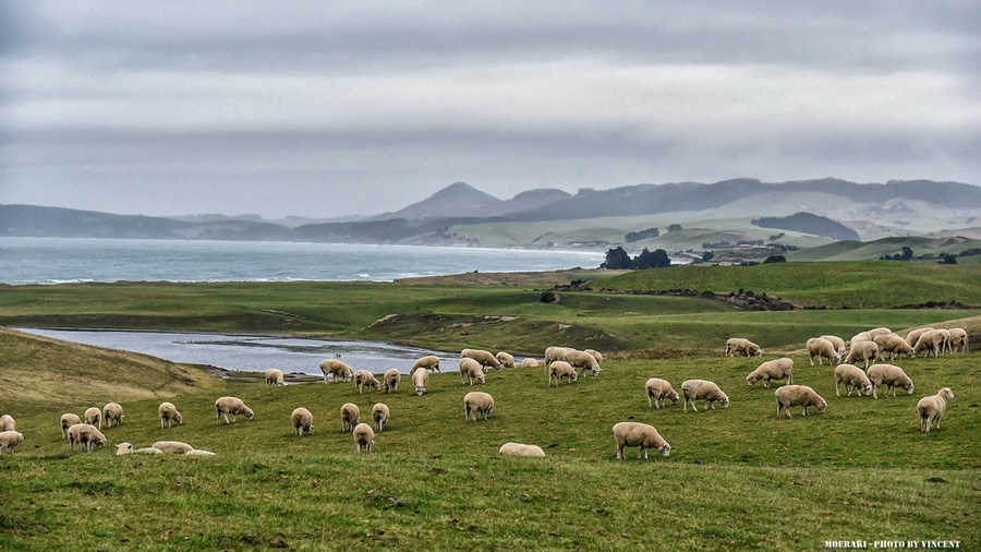 New Zealand- ֮