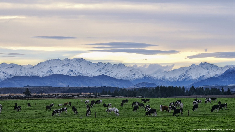 New Zealand- ֮