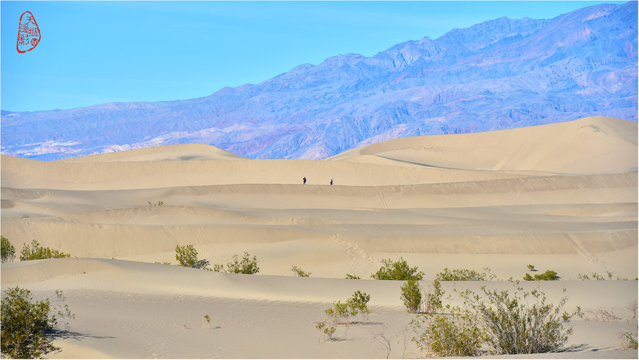 死亡谷之旅（2）-沙丘